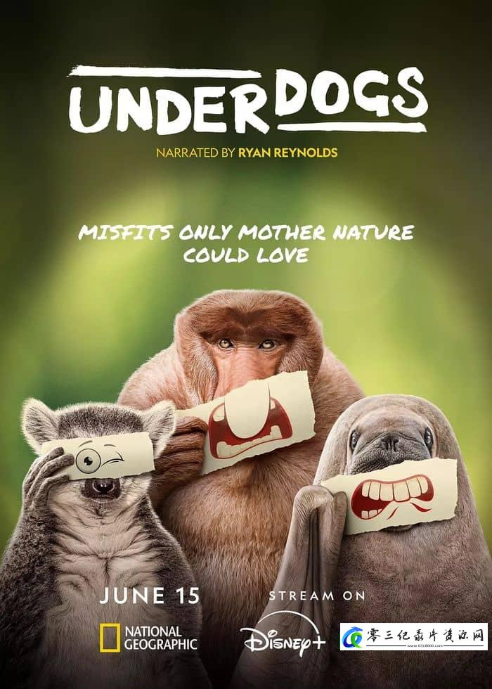 自然纪录片《隐秘的动物英雄 Underdogs》下载-零三纪录片资源网