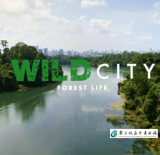 人文地理纪录片《野生城市：森林生物 Wild City: Forest Life》下载-零三纪录片资源网
