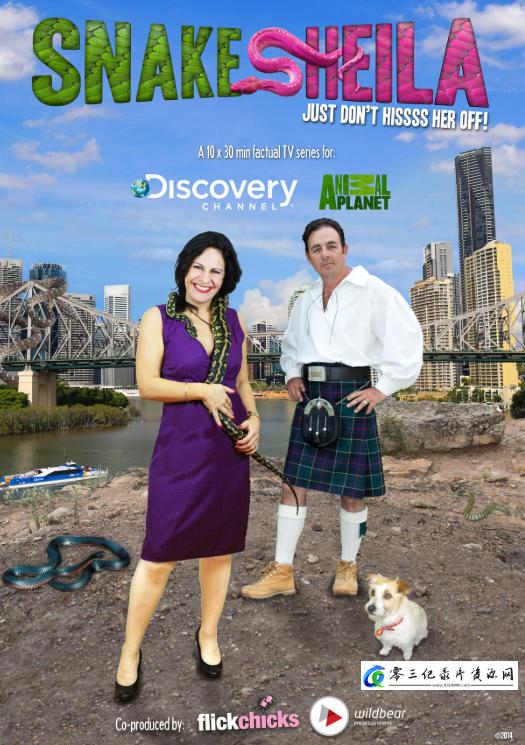 蛇老板 第一季 Snake Boss的海报