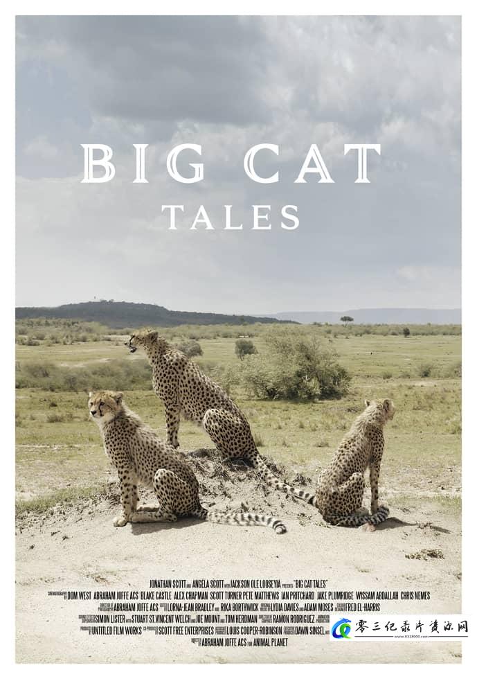 自然纪录片《大猫传奇 第1-2季全8集 Big Cat Tales》下载-零三纪录片资源网