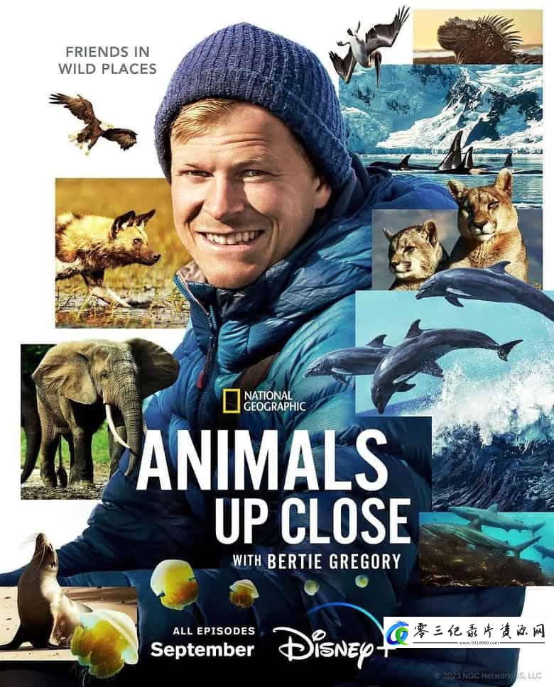 探索纪录片《贝尔蒂·格雷戈里：与动物零距离  Animals Up Close with Bertie Gregory》下载-零三纪录片资源网