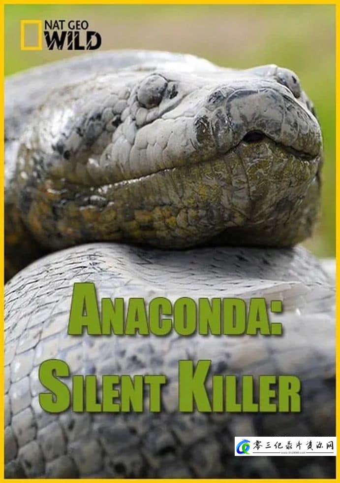 自然纪录片《蟒蛇:沉默杀手 Anaconda: Silent Killer》下载-零三纪录片资源网
