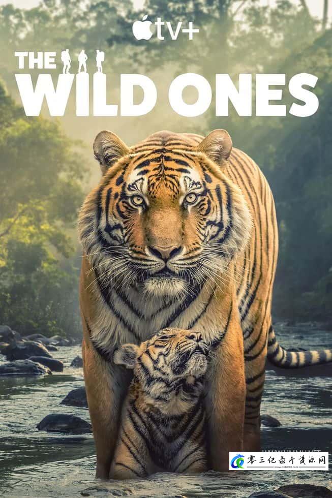 野性生灵 The Wild Ones的海报