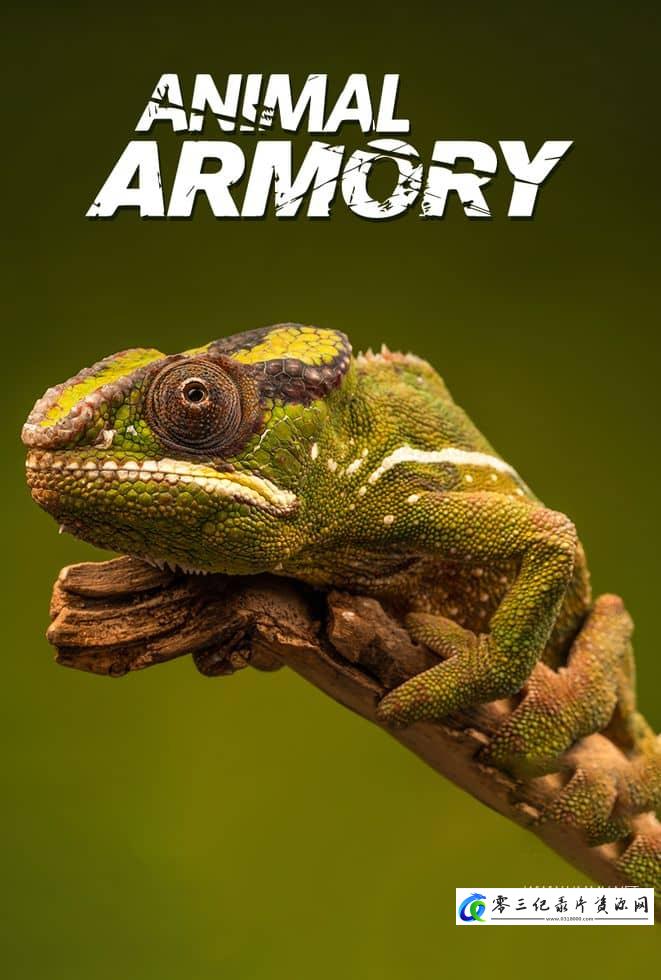 自然纪录片《动物军火库 Animal Armory》下载-零三纪录片资源网