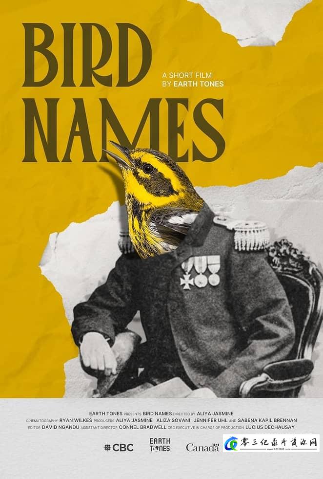 自然纪录片《鸟类命名 Bird Names》下载-零三纪录片资源网