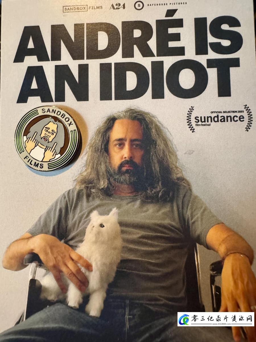传记，真人秀&舞台纪录片《安德烈是个傻瓜 André Is an Idiot》下载-零三纪录片资源网