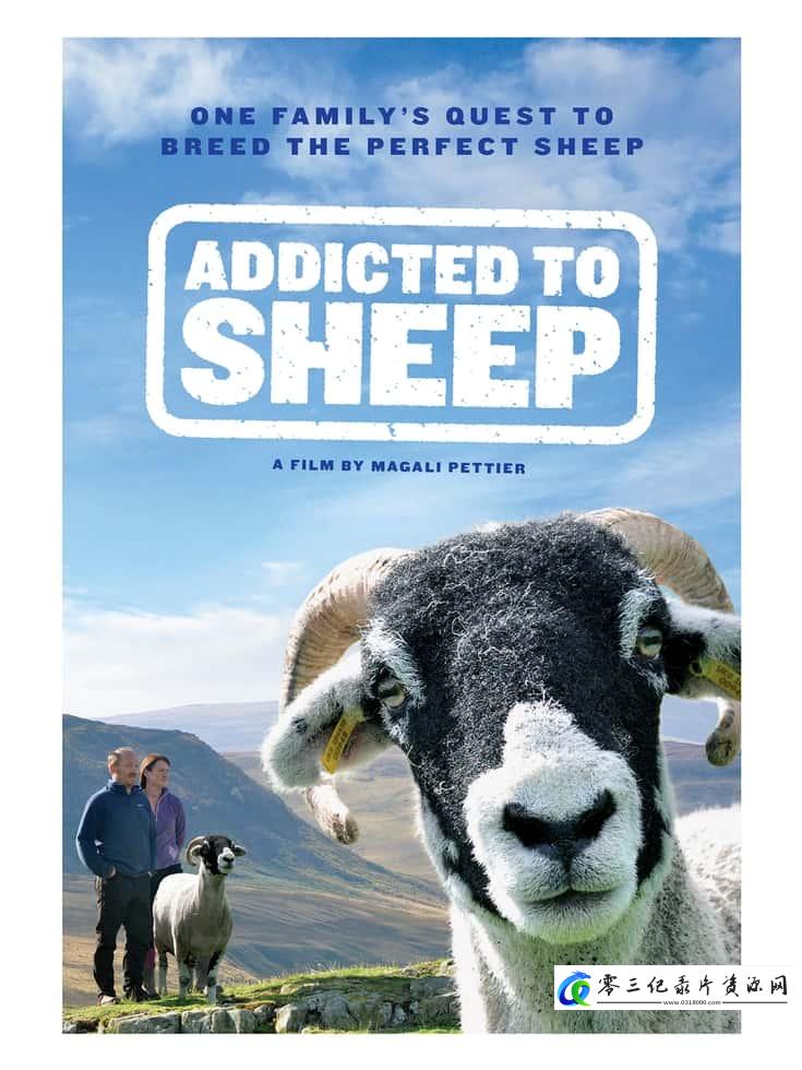 社会生活纪录片《牧羊成痴 Addicted to Sheep》下载-零三纪录片资源网