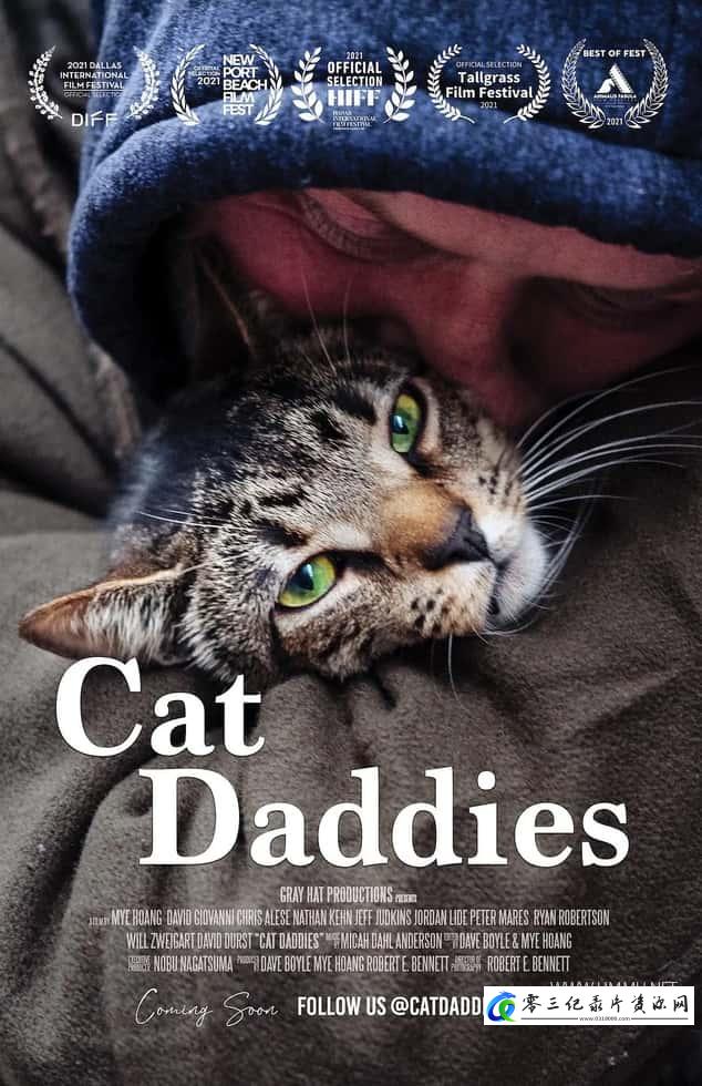 社会生活纪录片《猫爸爸们 Cat Daddies》下载-零三纪录片资源网