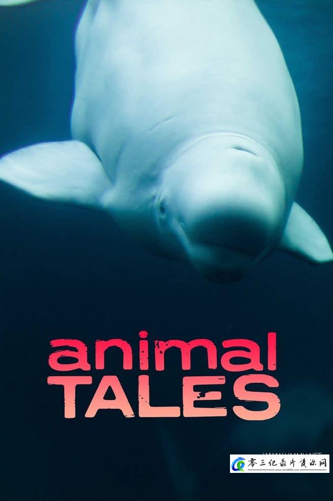 自然纪录片《动物故事 Animal Tales》下载-零三纪录片资源网