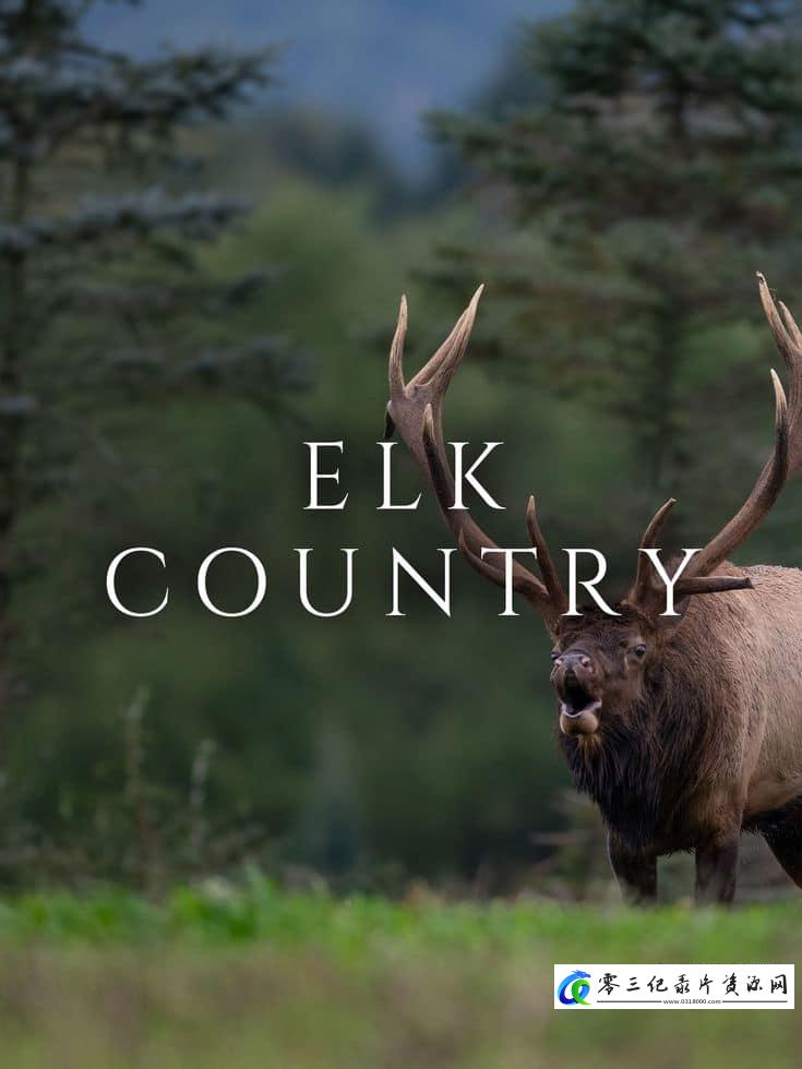 自然纪录片《麋鹿国度 Elk Country》下载-零三纪录片资源网
