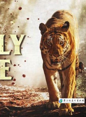 自然纪录片《致命游戏 Deadly Game》下载-零三纪录片资源网