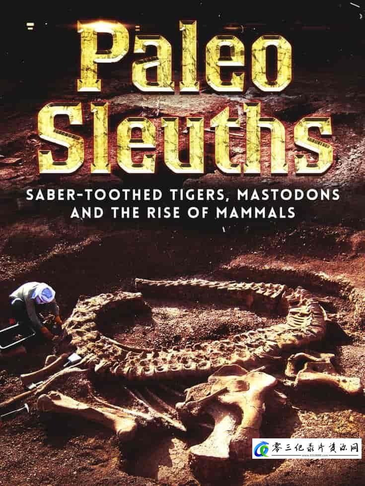 探索纪录片《考古侦探:剑齿虎、乳齿象和哺乳动物的崛起 Paleo Sleuths: Saber-Toothed Tigers, Mastodons, and the Rise of Mammals》下载-零三纪录片资源网