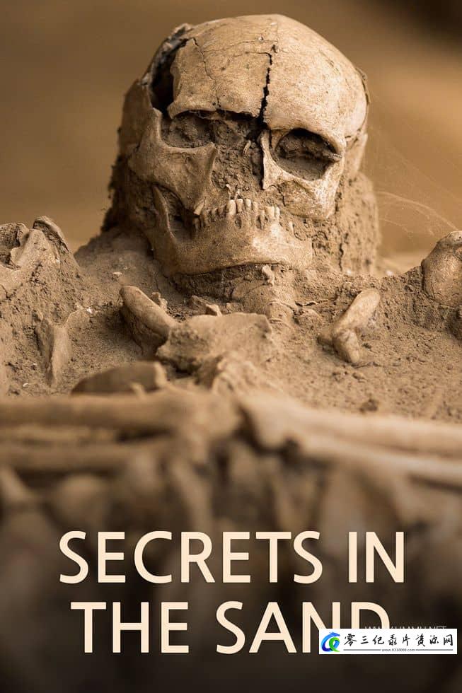 沙中的秘密 Secrets in the Sand的海报