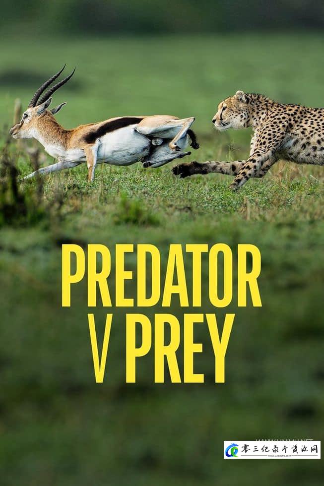 自然纪录片《掠食者联盟 Predator v Prey》下载-零三纪录片资源网