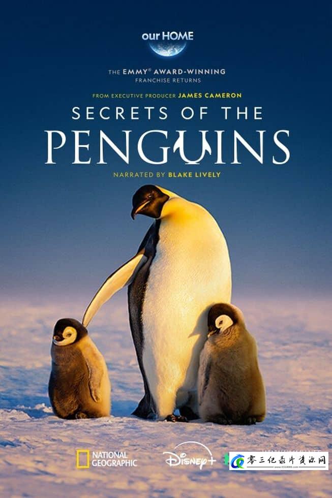自然纪录片《企鹅秘境 Secrets of the Penguins》下载-零三纪录片资源网