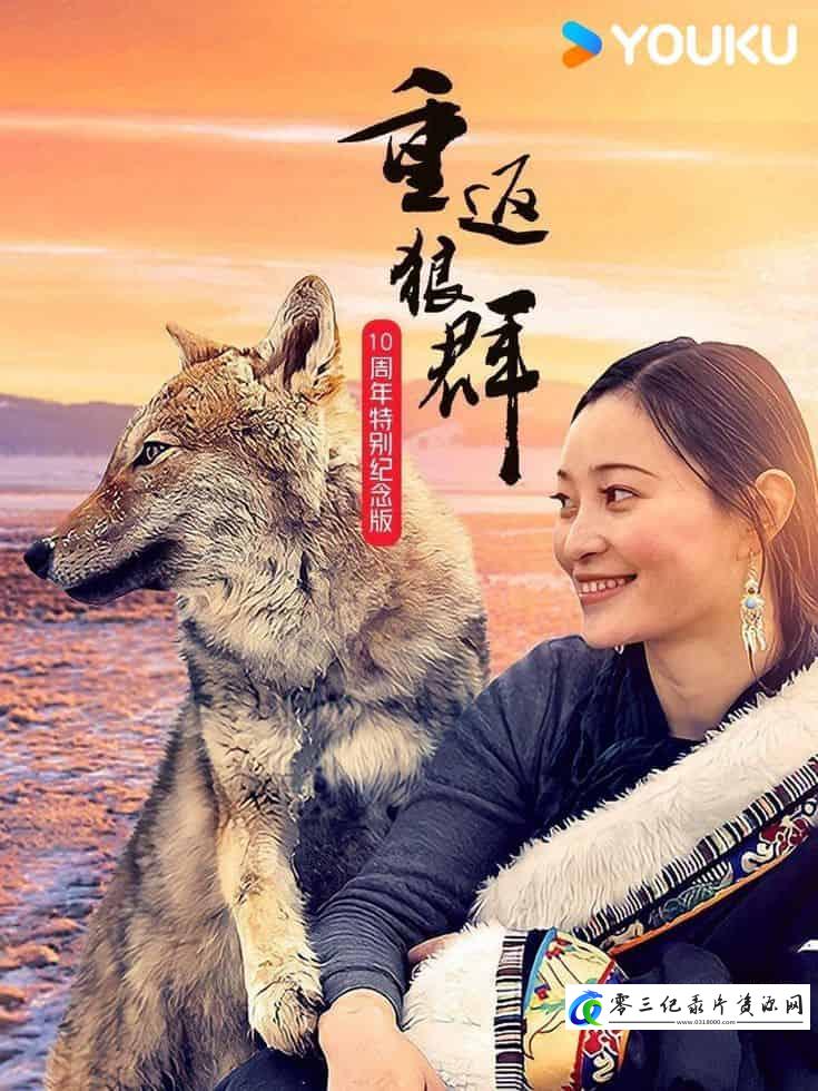 自然纪录片《重返狼群 - 10周年特别纪念版 Return to the Wolves 10-Year Anniversary Special》下载-零三纪录片资源网