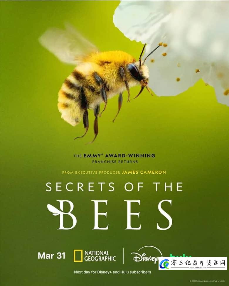 自然纪录片《蜜蜂的秘密 Secrets of the Bees》下载-零三纪录片资源网