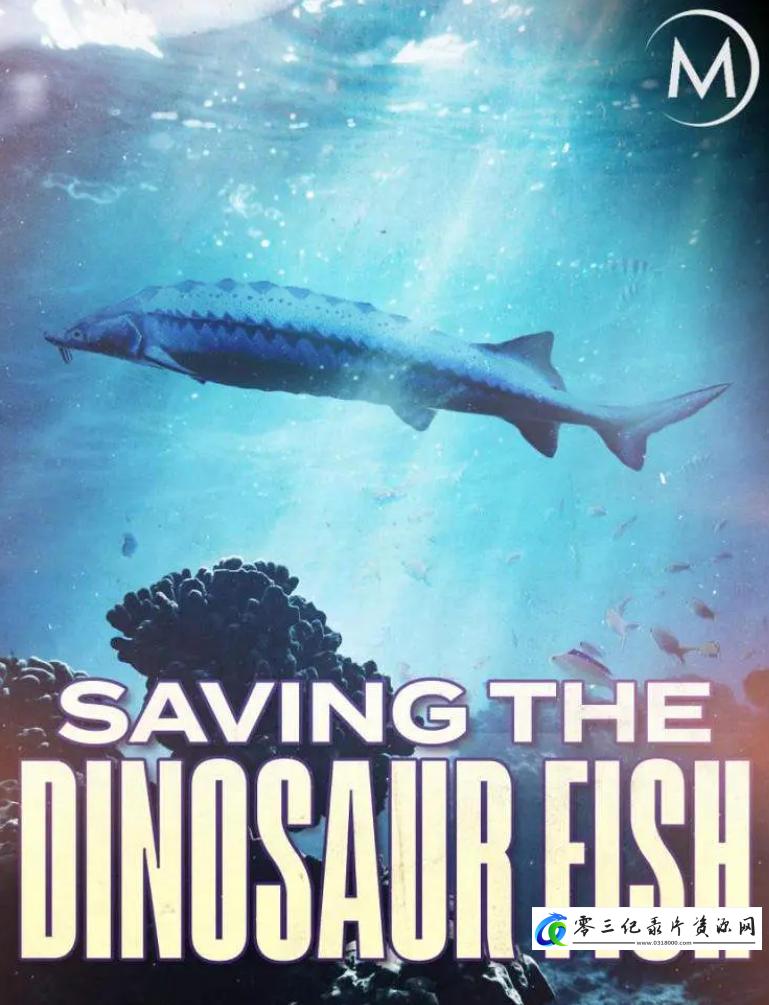 自然纪录片《濒危远古大鱼 Saving the Dinosaur Fish》下载-零三纪录片资源网