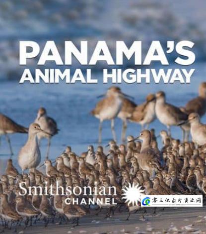自然纪录片《巴拿马的动物公路 Panama's Animal Highway》下载-零三纪录片资源网