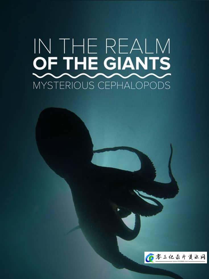 自然纪录片《巨人的领域：神秘的头足类动物 In the Realm of the Giants: Mysterious Cephalopods》下载-零三纪录片资源网