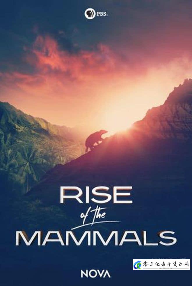 自然纪录片《哺乳动物的崛起 Rise of the Mammals》下载-零三纪录片资源网