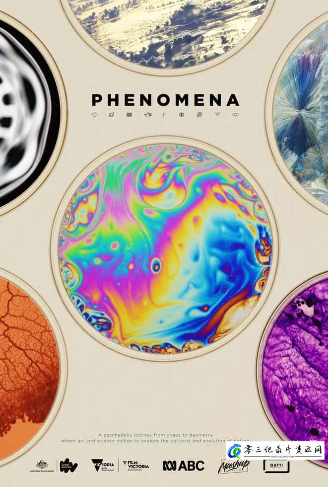 自然纪录片《自然现象 Phenomena》下载-零三纪录片资源网