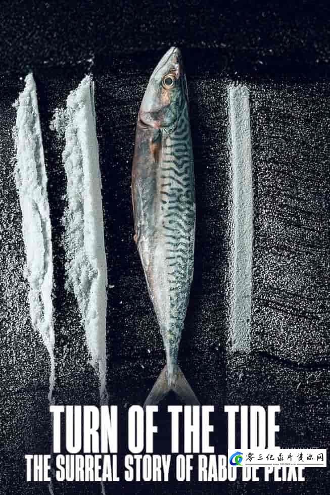 自然纪录片《毒海狂涛：鱼尾村离奇事件 Turn of the Tide: The Surreal Story of Rabo de Peixe》下载-零三纪录片资源网