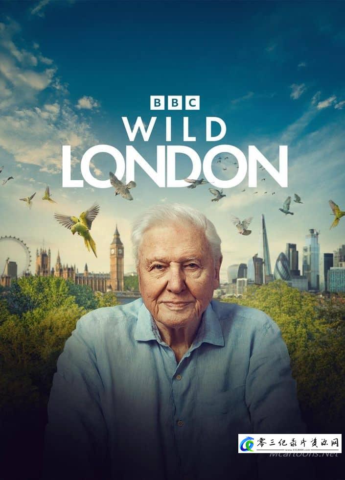 自然纪录片《野性伦敦 Wild London》下载-零三纪录片资源网
