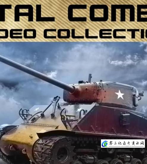军事纪录片《全面开战:二战美国地面战 Total Combat:U.S. Ground War WWII》下载-零三纪录片资源网