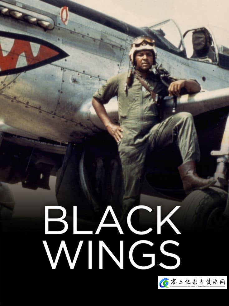历史纪录片《黑翼 Black Wings》下载-零三纪录片资源网