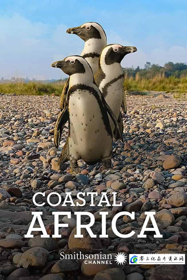 自然纪录片《非洲海岸 Coastal Africa》下载-零三纪录片资源网