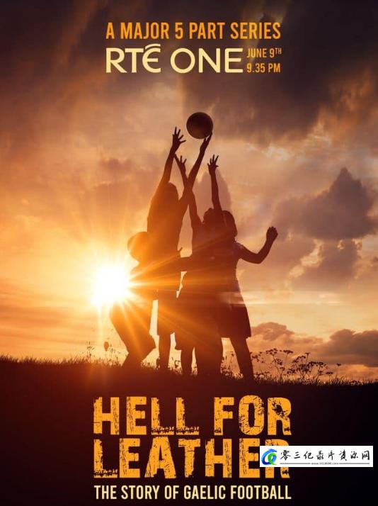 运动纪录片《百年拼搏:盖尔式足球的故事 Hell for Leather: the Story of Gaelic Football》下载-零三纪录片资源网