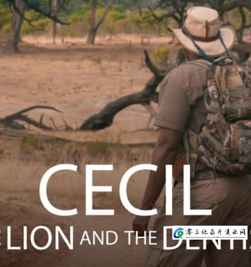 塞西尔:狮子与牙医 Cecil: The Lion and the Dentist的海报