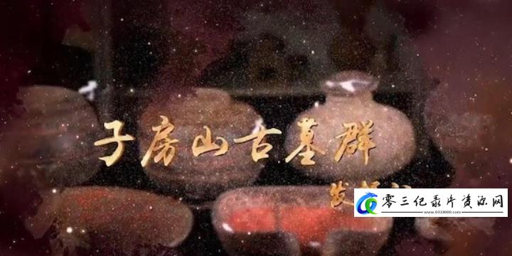 探索纪录片《子房山古墓群发掘记 2022》下载-零三纪录片资源网