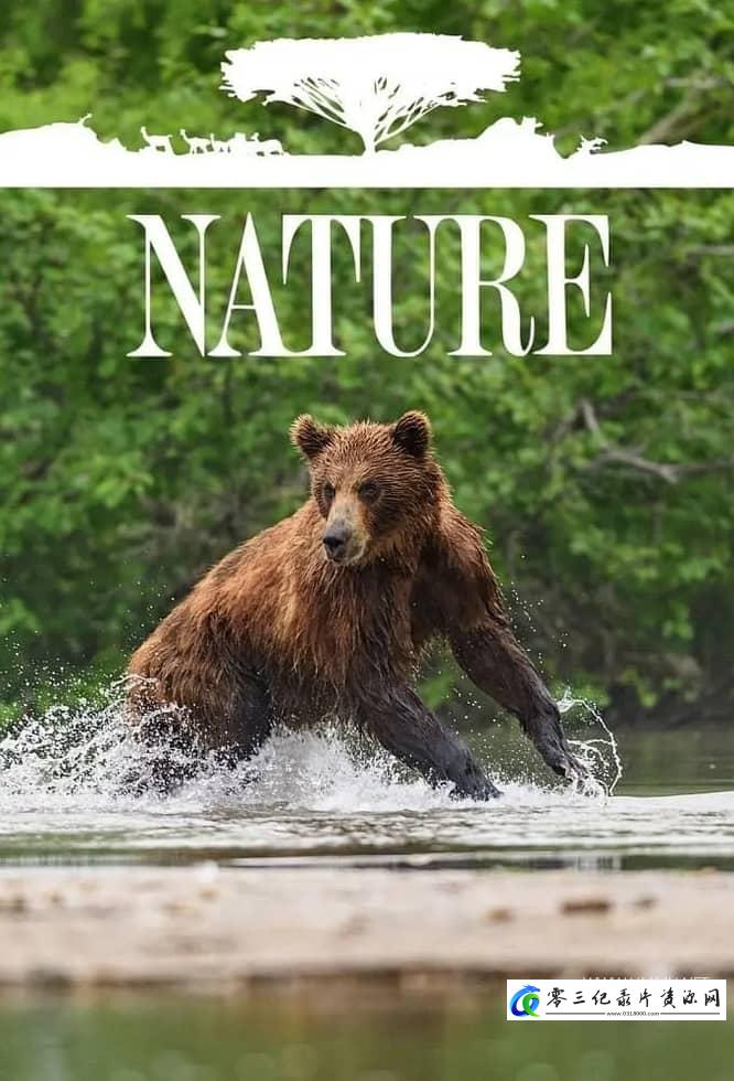 自然纪录片《自然 第39-44季全81集 Nature 2020-2026》下载-零三纪录片资源网